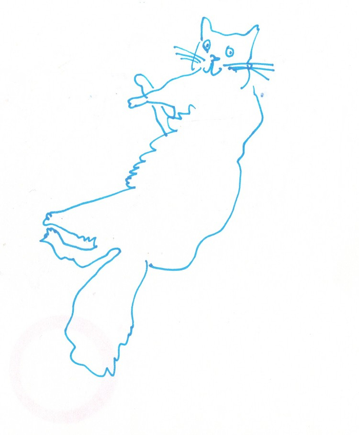 Мой новый кот