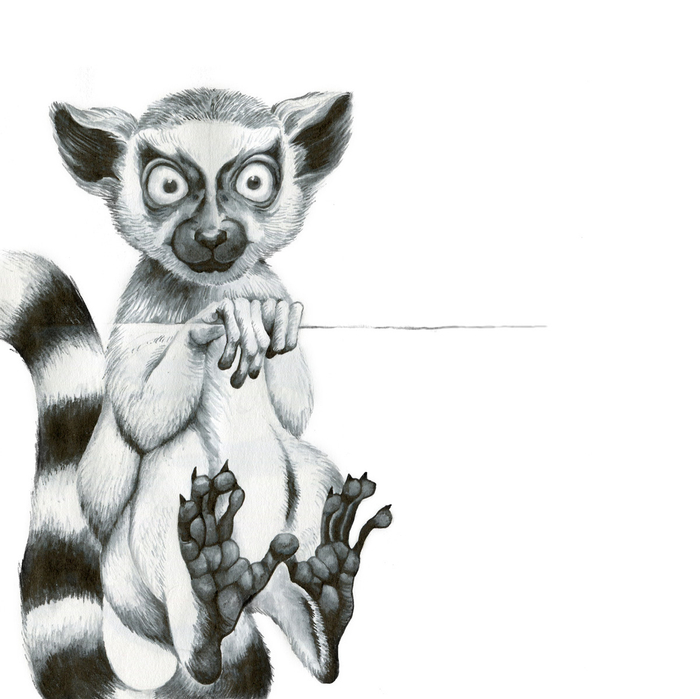 Лемур