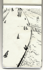 гуляющие люди. гуляющие голуби