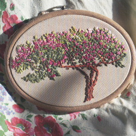 Магнолия цветет 