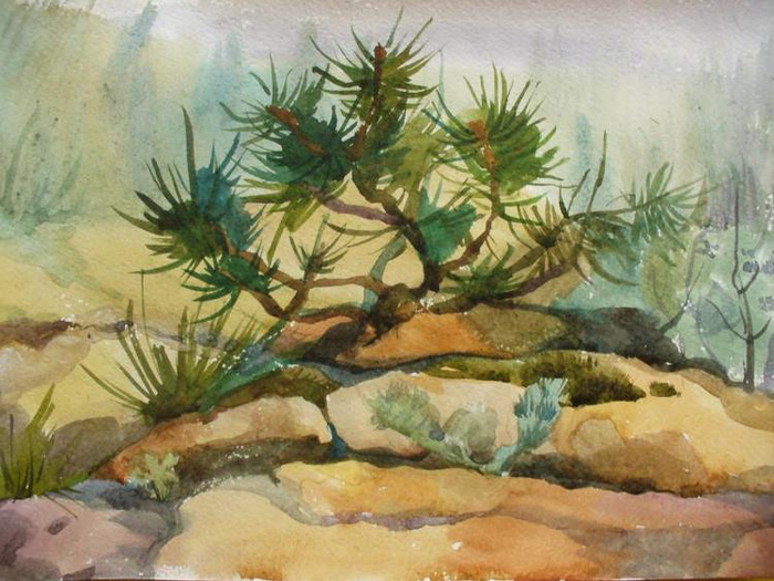 сосна, только маленькая