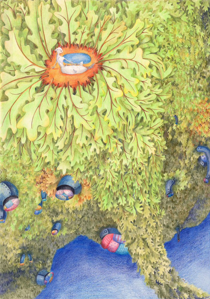 Единорожка в дубоволистном лесу.