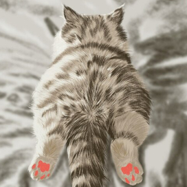 Котячество 