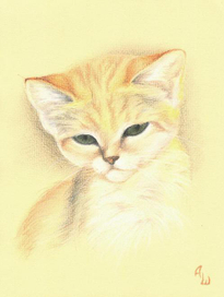 Барханная кошка