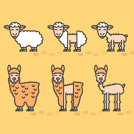 Овцы и альпаки