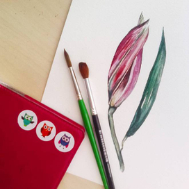 Бутон альстромерии