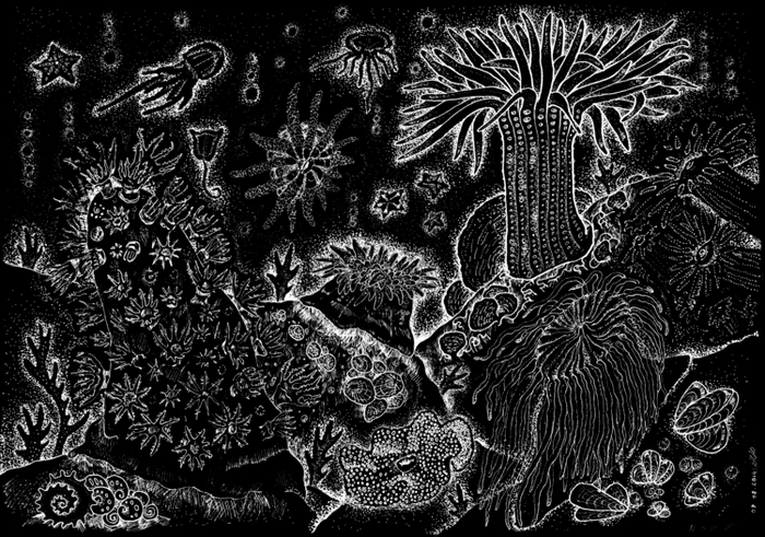 Подводный мир