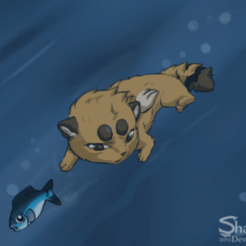 Шакуми ловит рыбку