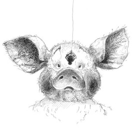 Вильбур. сказка "Паутинка Шарлотты"