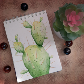 Кактус (акварель) 