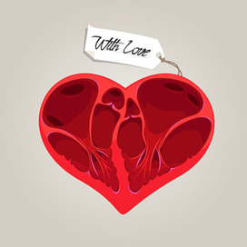 Анатомия сердца святого Валентина