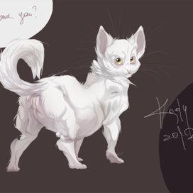 Кошка белая