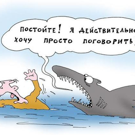 Непонимание