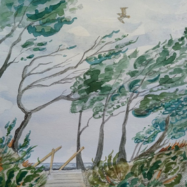 Скетч "Балтика суровая"