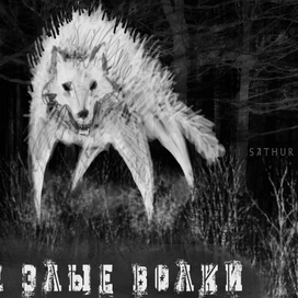 Злые Волки