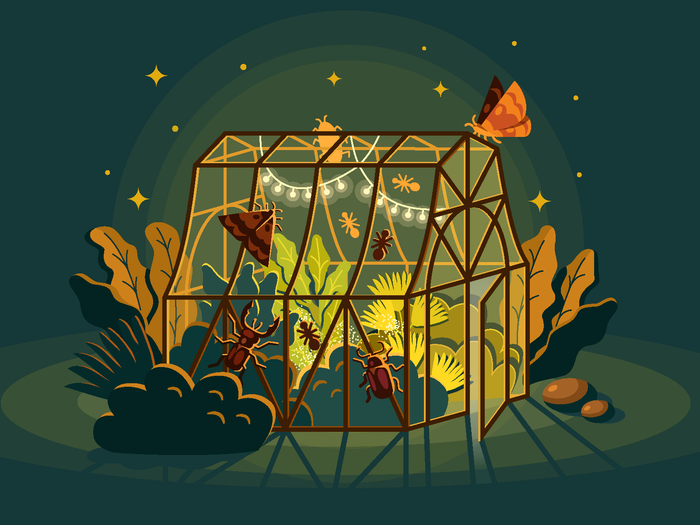 Вечерняя теплица