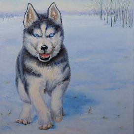 Картина маслом 30х40 «Голубоглазый»