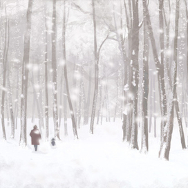 Последний зимний сон