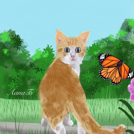 Котёнок и бабочка