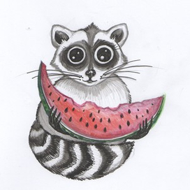 Енот с арбузом