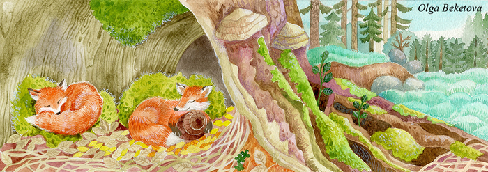 Сказка про лисят