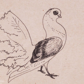 Графика. Животные и птицы.