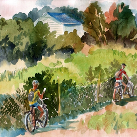 Деревенское лето