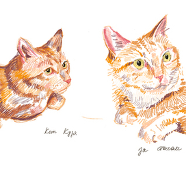 Кот Кузя породы бобтейл. Скетчи