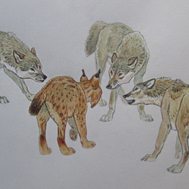 К. Зиганшин "Таёжными тропами"  (2)