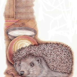 "Ёж забрался в дом из леса...