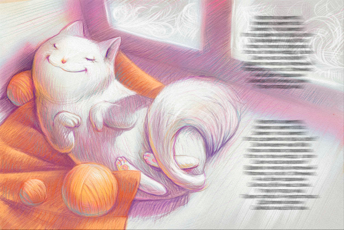 кошка на окошке