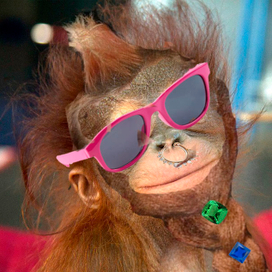  Современная модница