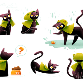 Кот по имени Тон