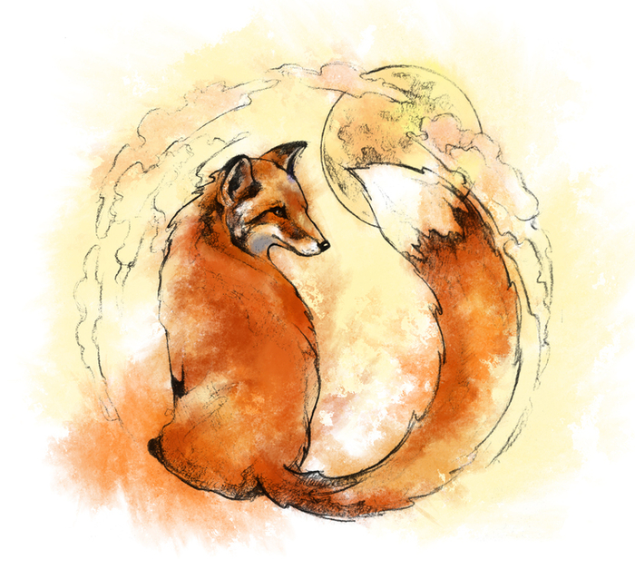 The Fox and The Moon