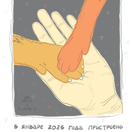 Иллюстрация № 21 для приюта 