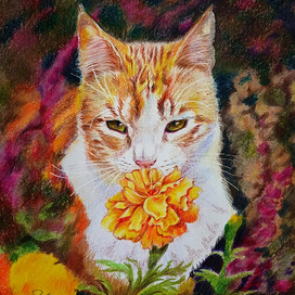 Разноцветье