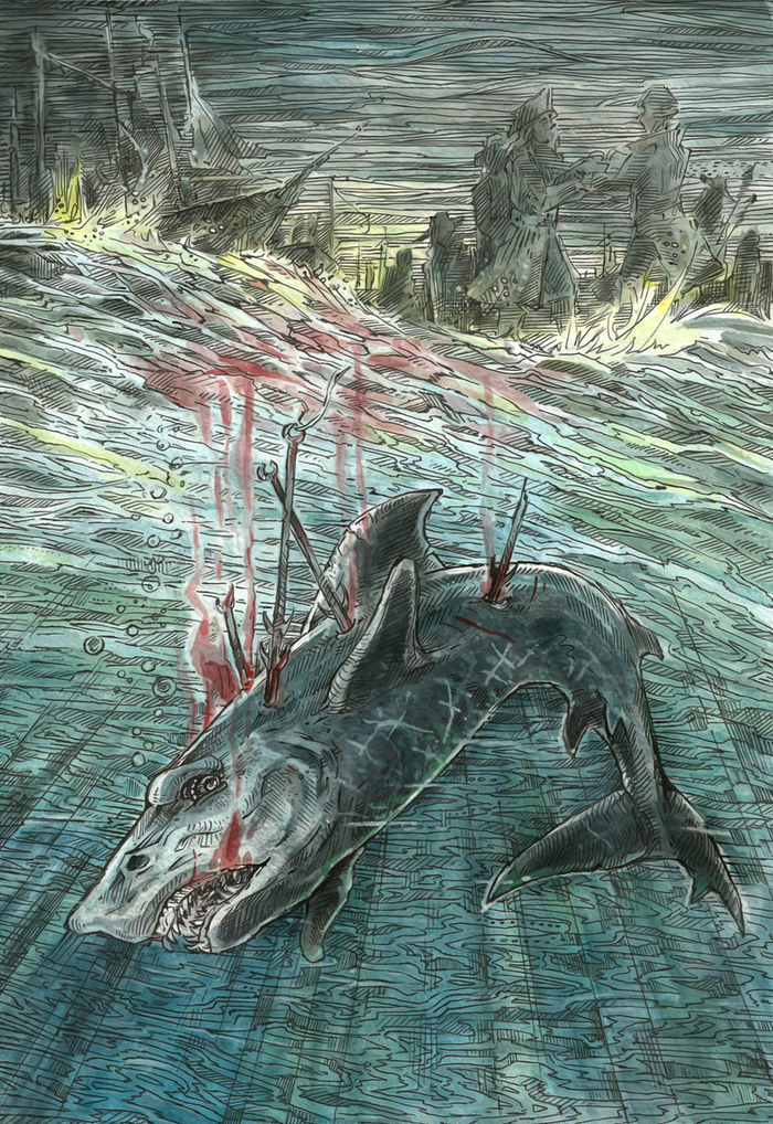 Жалость акулы