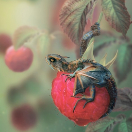 Ягодный дракончик