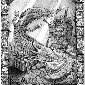 Axolotl (Ambystoma tigrinum)