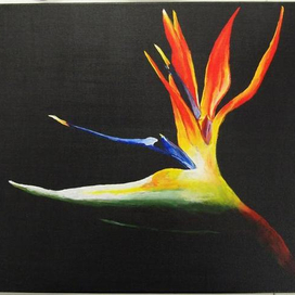 стрелиция королевская