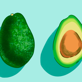Иллюстрации "Авокадо"