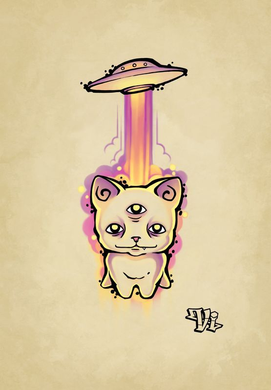 похищение кота