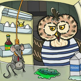 Мышь повесилась. Universowl