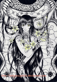 Lilium