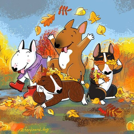 осенние бультерьеры фотосет собаки