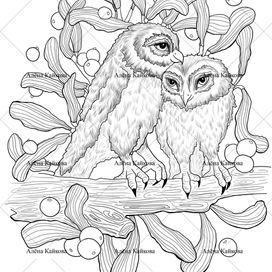 Раскраска "Сова и омела"