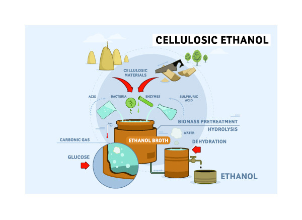 I2BF / illustrations