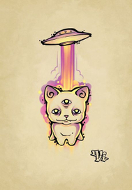 похищение кота