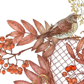 Фрагмент орнамента