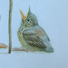 Вниз по Причуди 156